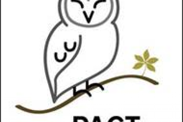 PACT Summer Camp Logo