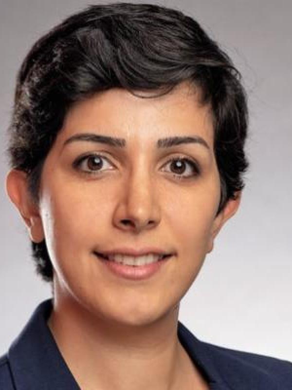 Professor Heydari Fard